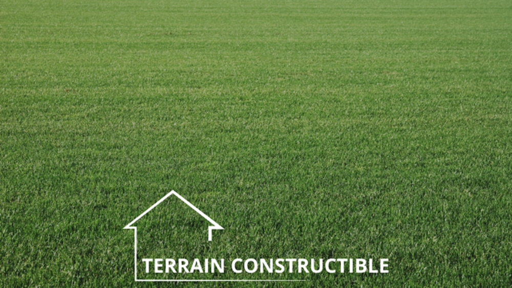 Vente Terrain Terrain constructible de 4282 m2 Aleria Aleria