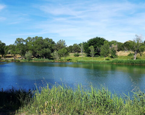   DPT (30) VALLABREGUES A VENDRE MAISON DE VILLAGE  DE 120M2 Maison - 4 pi�ce(s) - 120 m�