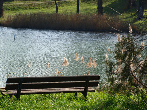  Maison � louer 4 pi�ces 80 m�