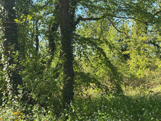  Terrain � vendre 6080 m�