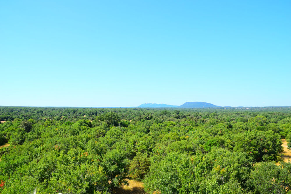  vendre  Maison Uzs (30700)