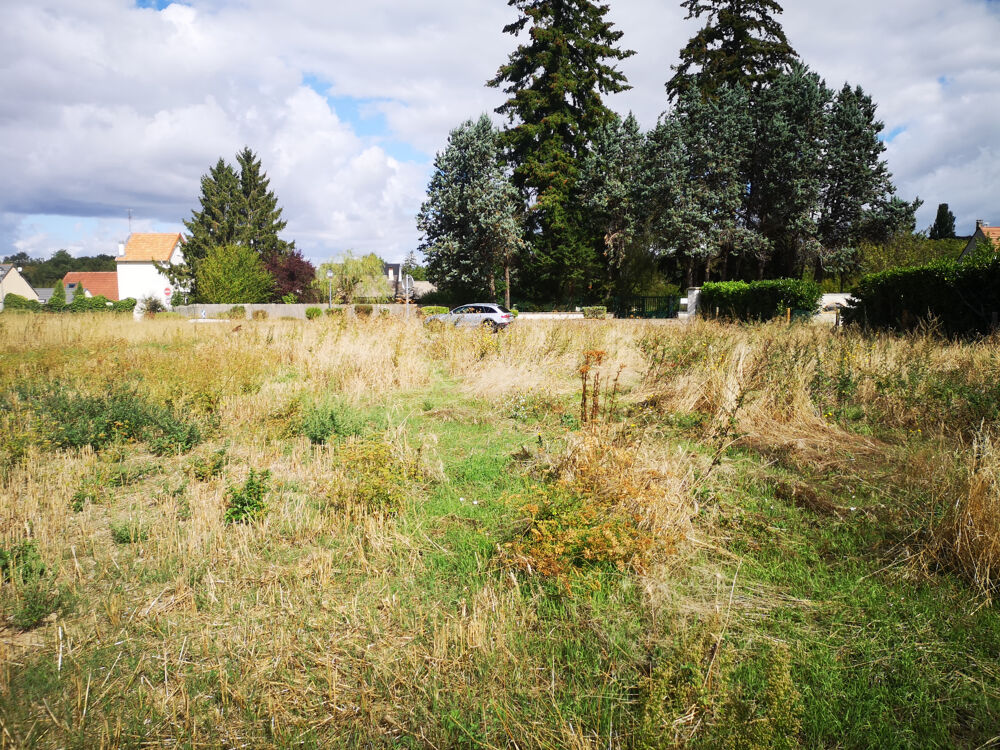 Vente Terrain TERRAIN A BATIR Vayres sur essonne