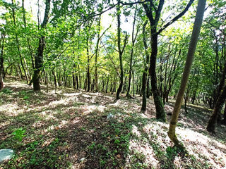  Terrain à vendre 3234 m²