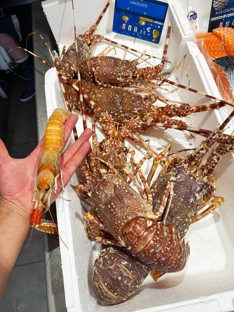   Rare opportunité   Fonds de commerce de poissonnerie historique au Grau-du-Roi 