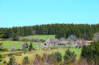  Propri�t�/ch�teau � vendre 14 pi�ces 276 m�