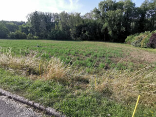  Terrain à vendre 515 m²