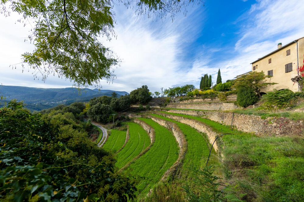 Vente Duplex/Triplex Cévennes méridionale Notre Dame de La Rouvière Val d'Aigoual résidence le Panoramique Le vigan