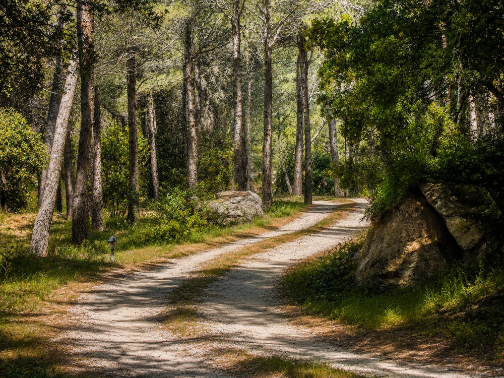 à vendre  Propriété/château Les Baux-de-Provence (13520)