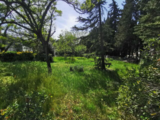  Terrain � vendre 583 m�