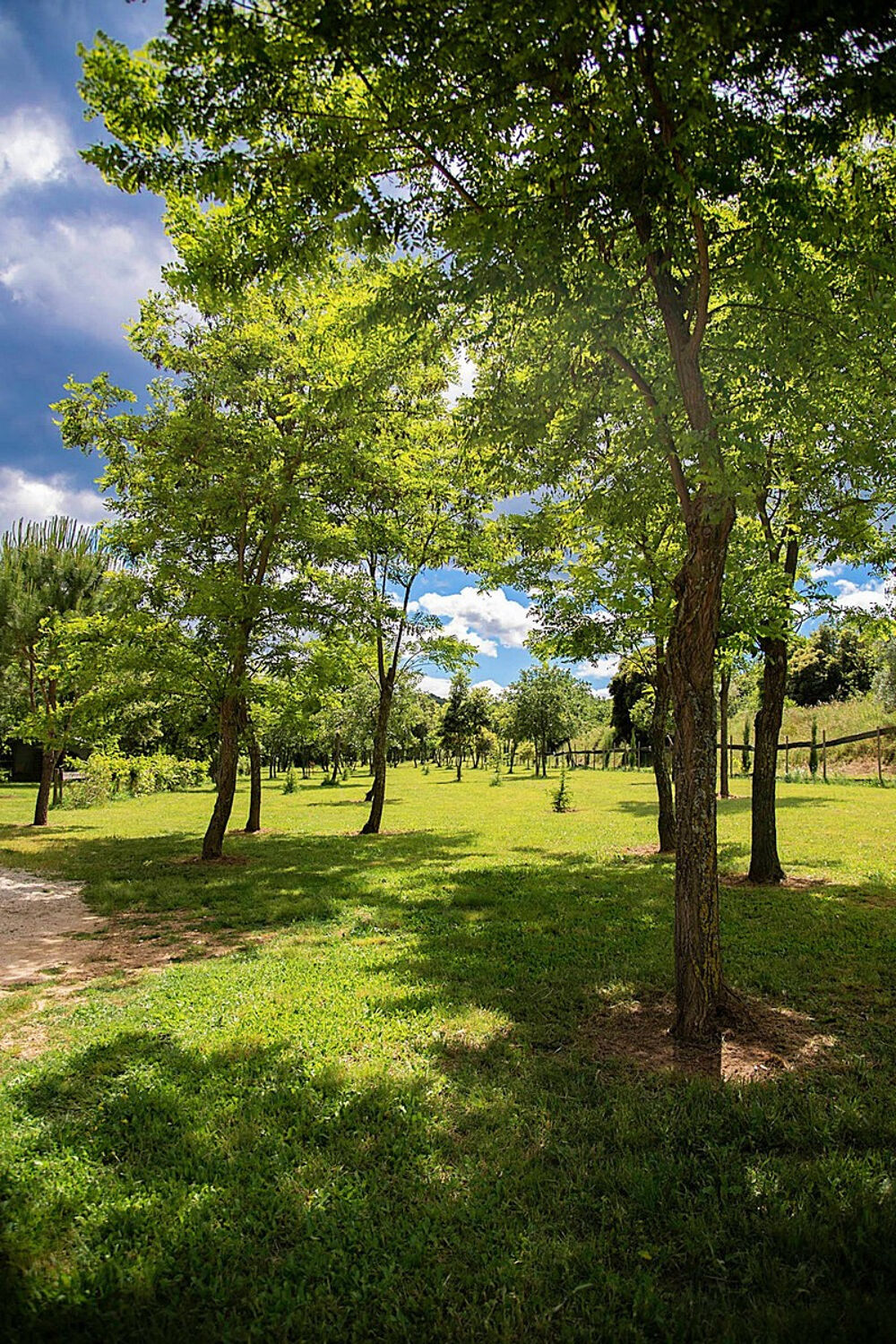  vendre  Maison Goudargues (30630)