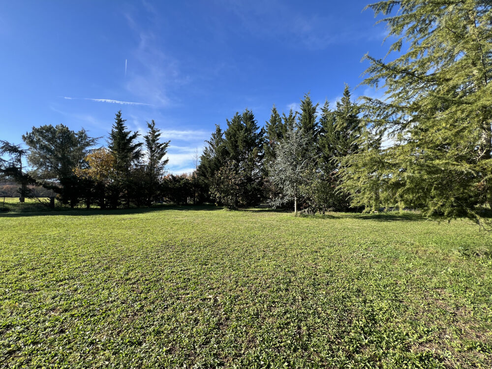 � vendre  Maison Bessi�res (31660)