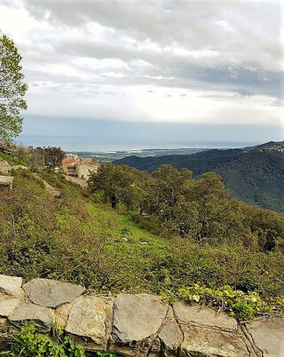  Terrain � vendre 215 m�