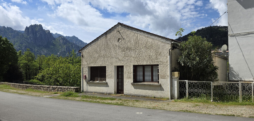 Vente Appartement A VENDRE APPARTEMENT 27M2  A GHISONI Ghisoni