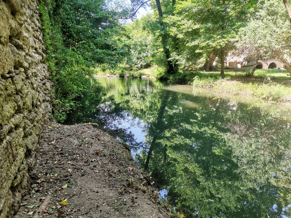 UZES : MAGNIFIQUE CHATEAU SUR PLUS DE 5000 M2 DE TERRAIN ARBORE AVEC DEPENDANCES