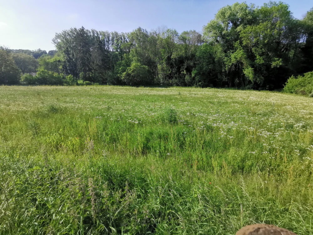Vente Terrain Dept Essonne (91), à vendre à SERMAISE (91530), Terrain constructible de 515 m2 env., libre de constructeur Sermaise