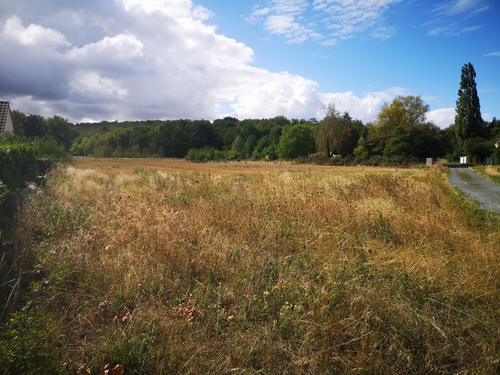 Vente Terrain TERRAIN A BATIR Vayres sur essonne