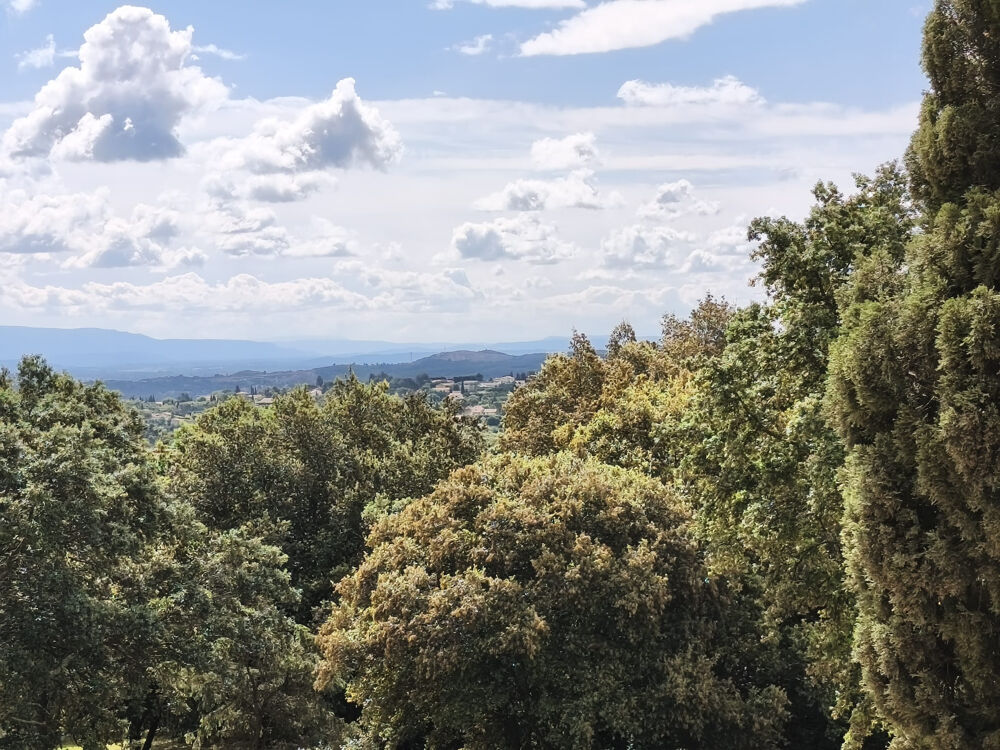 Vente Propriété/Château DPT (84) Avignon à vendre propriété 260m2 Rochefort du gard