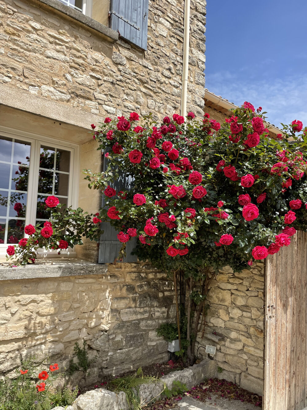 à vendre  Propriété/château Murs (84220)