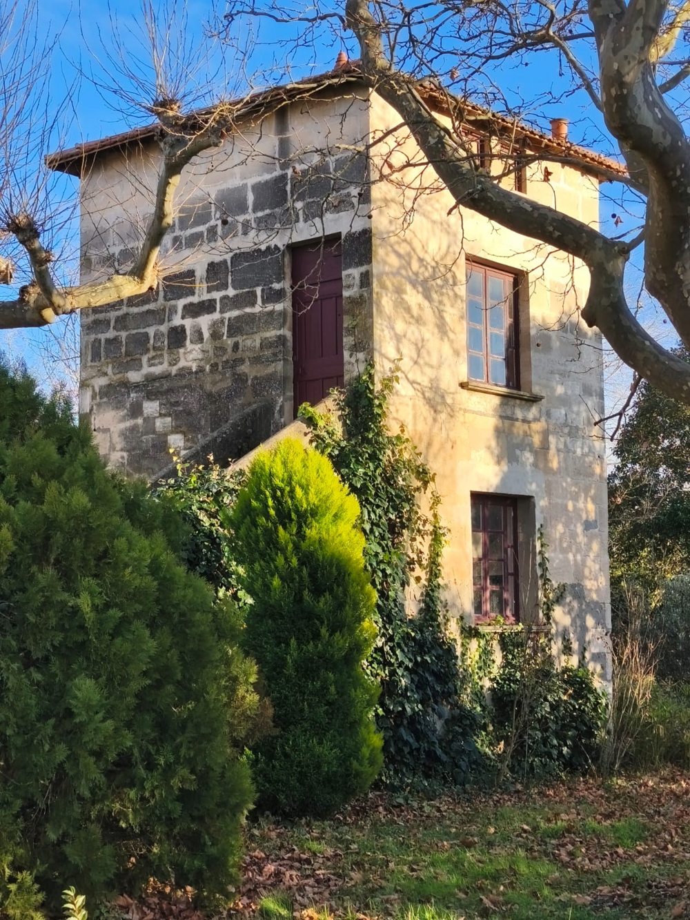 � vendre  Propri�t�/ch�teau Boulbon (13150)