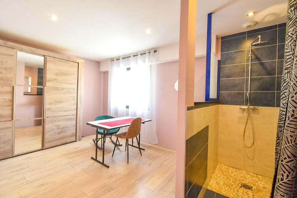 � vendre  Propri�t�/ch�teau Aiguebelette-le-Lac (73610)