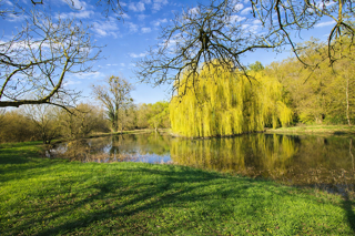  Propri�t�/ch�teau � vendre 8 pi�ces 366 m�