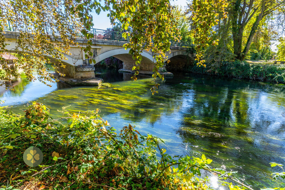 Vente Propriété/Château DOMAINE D'EXCEPTION 1,7 hectares AUX PORTES DE PARIS (28) Cherisy