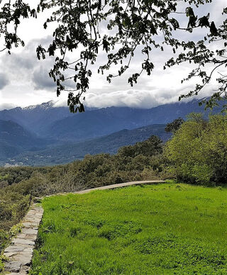  Terrain � vendre 215 m�