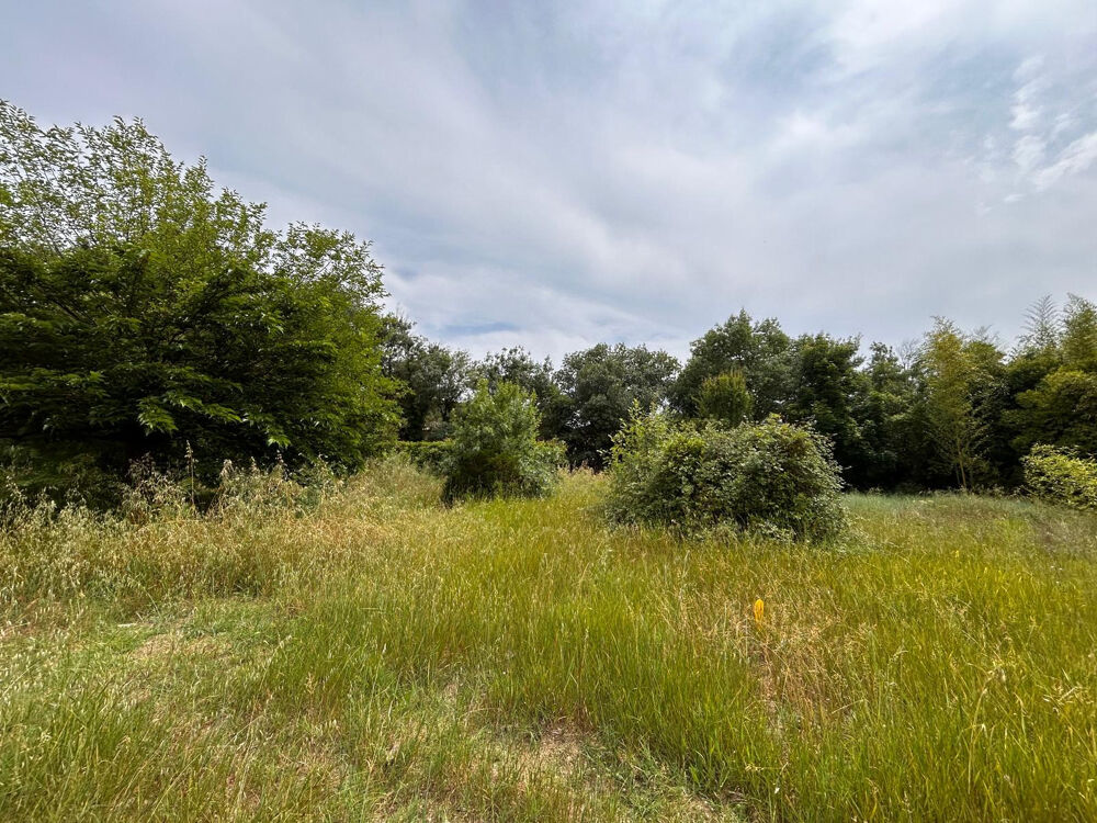 Vente Terrain Dépt Hérault (34) - Prades le Lez - À vendre - Terrain à bâtir de 659m2- Libre de tout constructeur Prades le lez