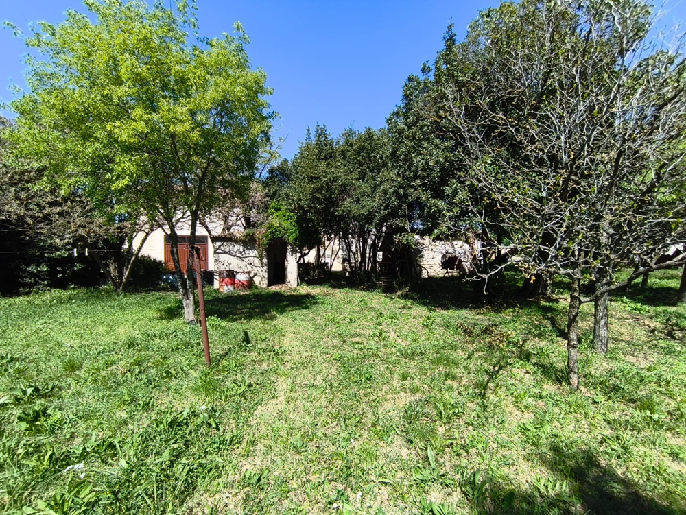 Vente Terrain DPT(13) ARLES TERRAIN CONSTRUCTIBLE AVEC PLUSIEURS BATIMENTS ( MAS) Arles