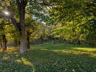  Propri�t�/ch�teau � vendre 11 pi�ces 235 m�