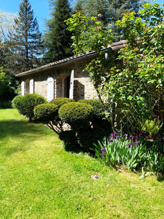  Propriété/château à vendre 14 pièces 520 m²