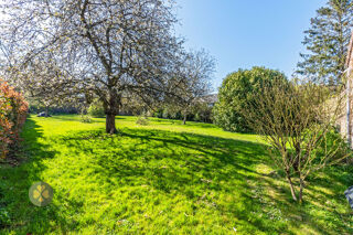  Maison à vendre 14 pièces 350 m²