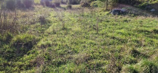  Terrain � vendre 1502 m�