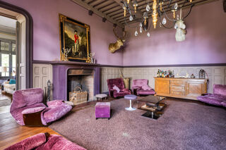  Propriété/château à vendre 15 + pièces 1000 m²