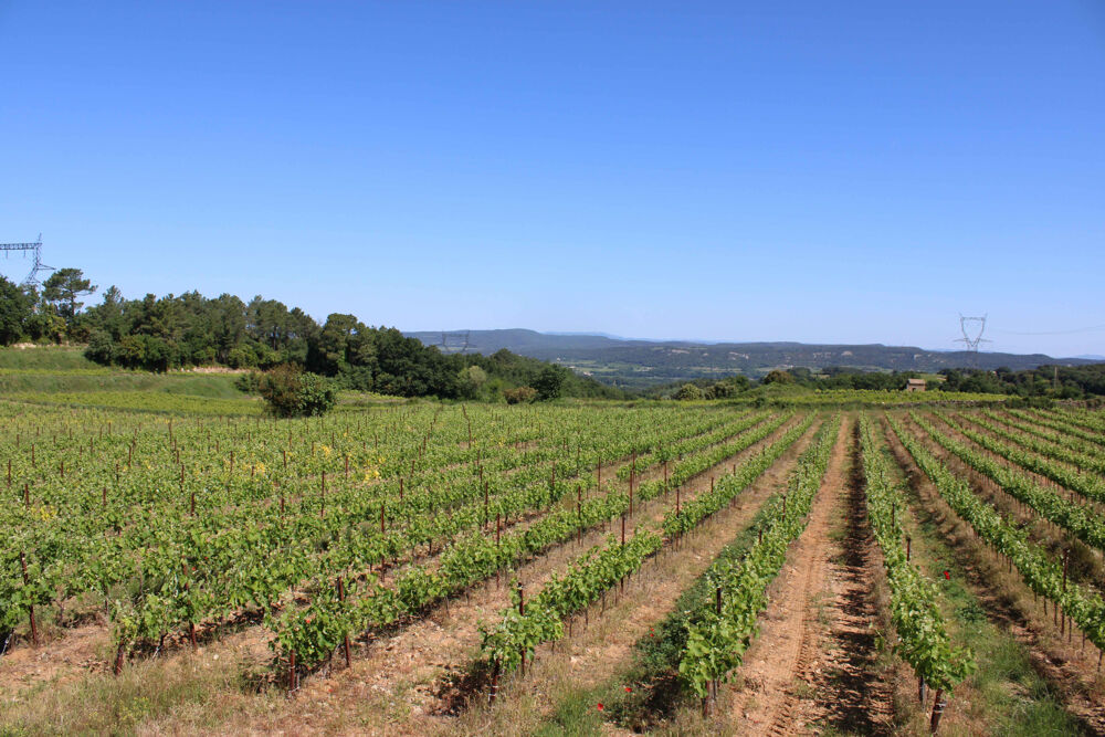 Vente Maison ENTRE GARD ET ARDECHE : Magnifique mas avec piscine au milieu des vignes Uzes