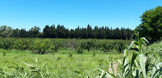  Maison � vendre 10 pi�ces 250 m�