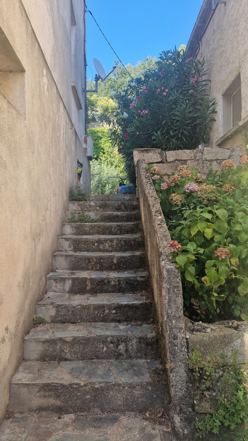 Vente Maison A VENDRE JOLIE MAISON DE VILLAGE A GHISONI Ghisoni