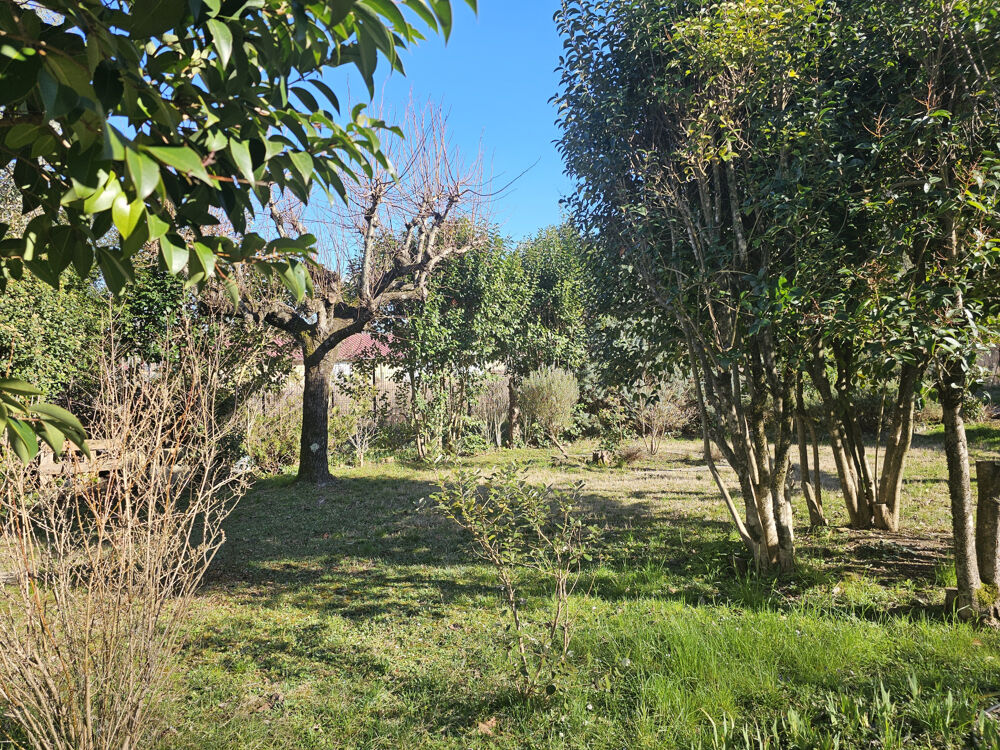 07 - CHAMBONAS - MAISON 125 M2 - SOUS SOL AVEC APPARTEMENT - 1600 m2 TERRAIN
