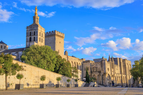 CESSION DE DROIT AU BAIL   EMPLACEMENT PREMIUM &Agrave; AVIGNON 180000 84000 Avignon