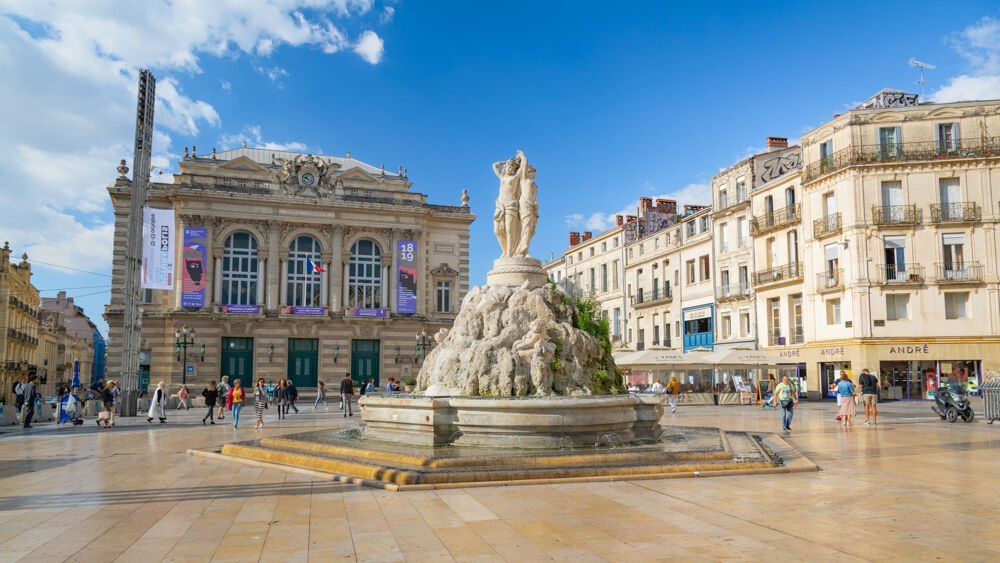 Vente Appartement Dépt Hérault (34), à vendre MONTPELLIER Appartement T4 de 91m2 - cave. Montpellier