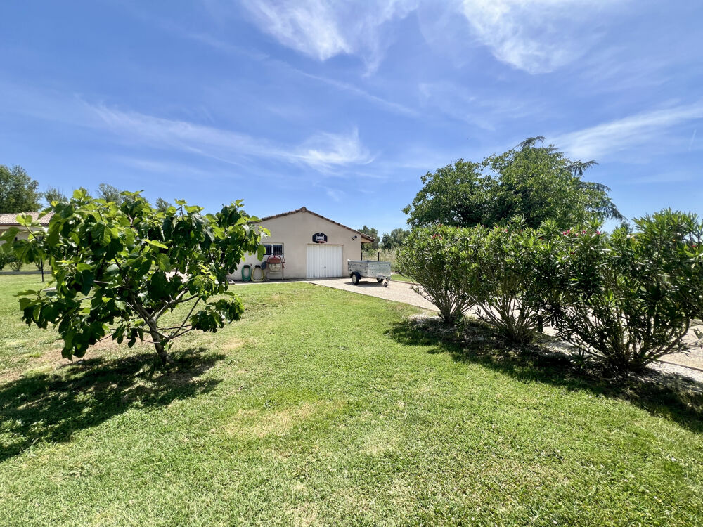 Vente Maison A Vendre Dpt 81 Loupiac Villa Plain-pied 4 chambres piscine St sulpice la pointe