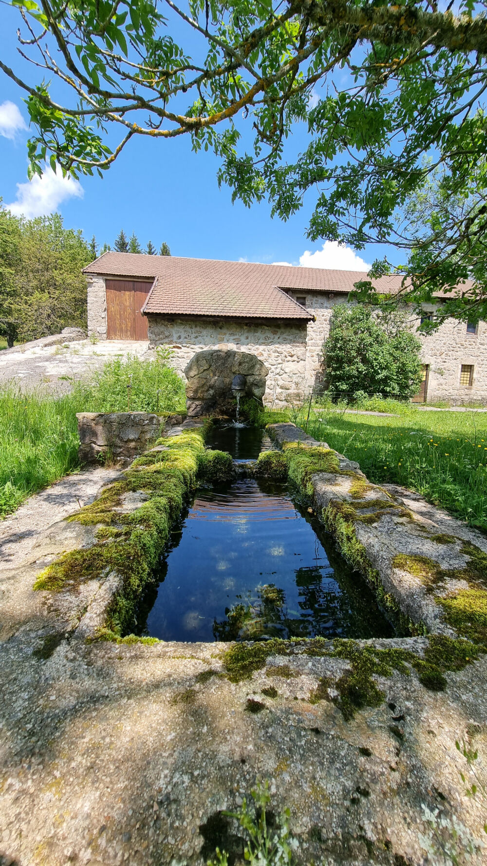 à vendre  Propriété/château Le Lac-d'Issarlès (07470)