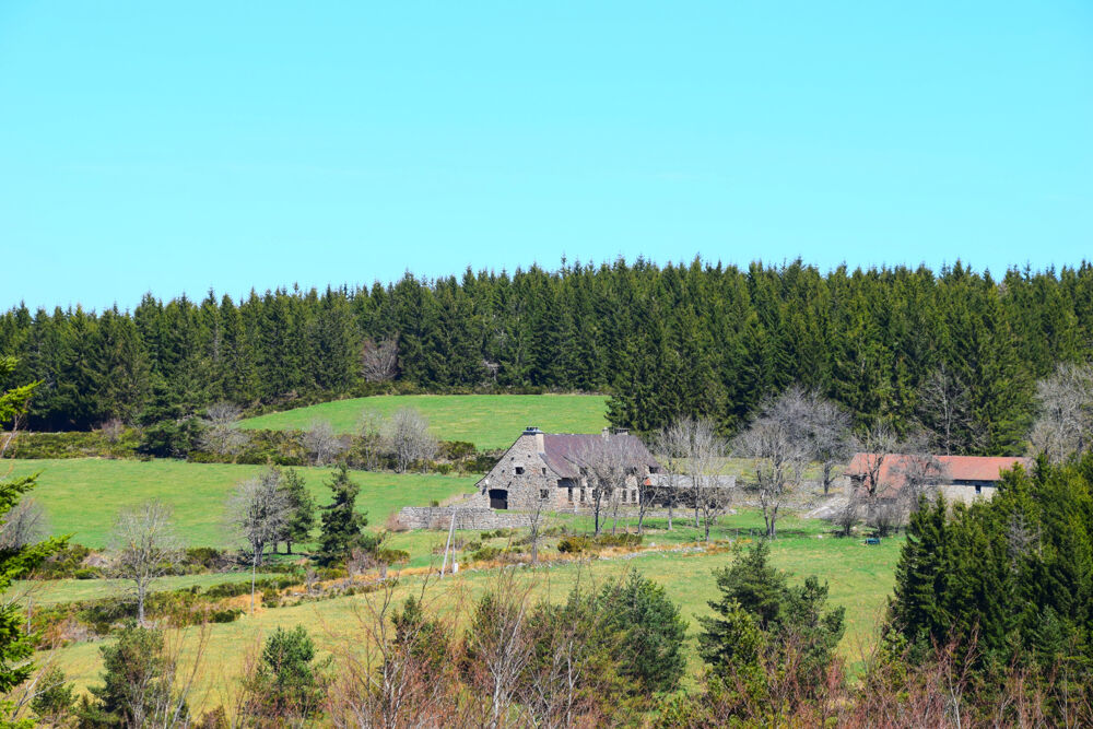 Dépt.(07) - A VENDRE Secteur Le LAC D'ISSARLES - Propriété de 56 ha avec Maison de 270 m2 et Ferme de 340 m2