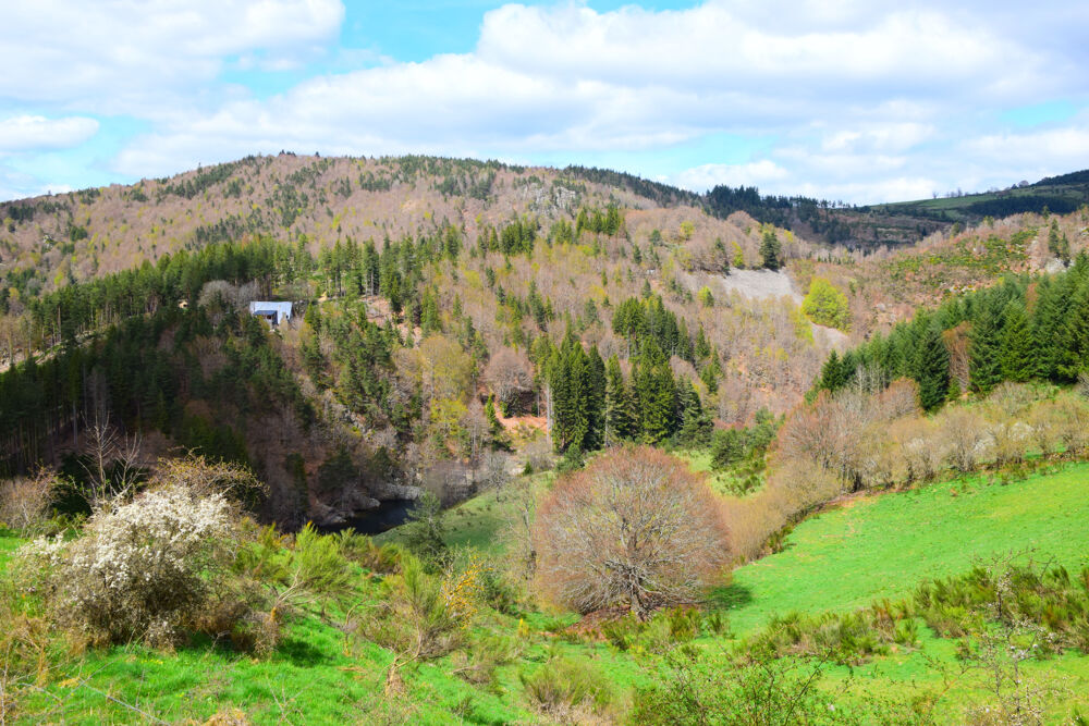 Vente Ferme Dépt. 07 - A VENDRE Secteur du LAC D'ISSARLES - Grande Ferme rénovée de 195 m2 - Parcelle de 660 m2 Le lac d issarles
