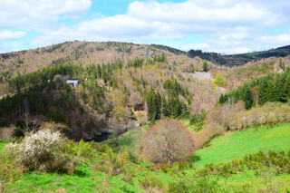  Ferme à vendre 7 pièces 195 m²