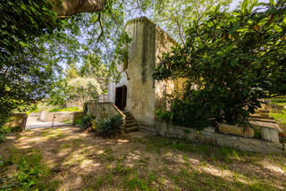  Propri�t�/ch�teau � vendre 5 pi�ces 170 m�