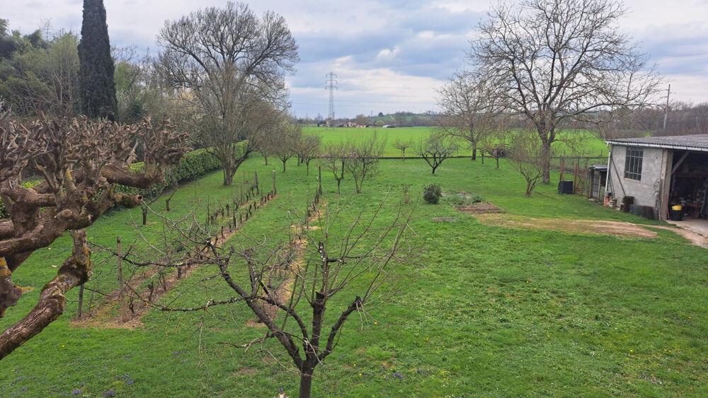 Maison individuelle F4 TBE + dépendances sur 2848m2 de terrain arboré