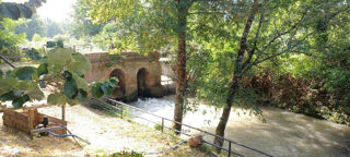  Propri�t�/ch�teau � vendre 8 pi�ces 270 m�