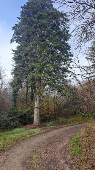  Maison � vendre 2 pi�ces 70 m�