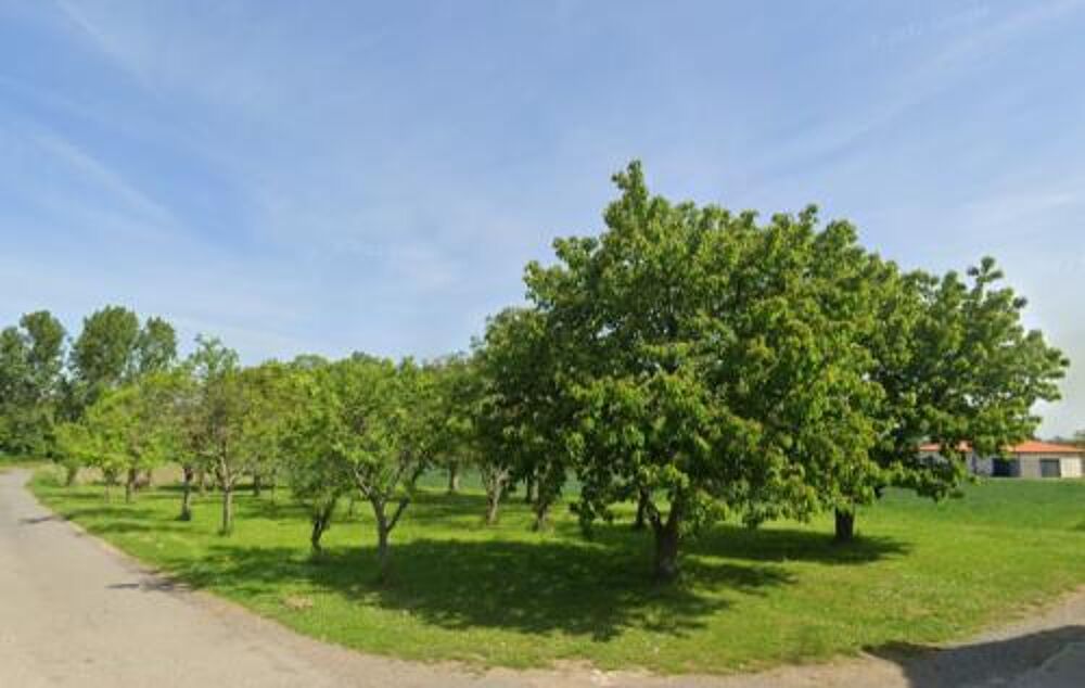 Vente Terrain Terrain à bâtir de 577m² à Vensat Vensat